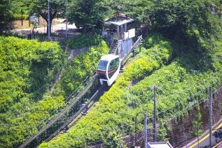 飛鳥山公園（あすかやまこうえん）の画像