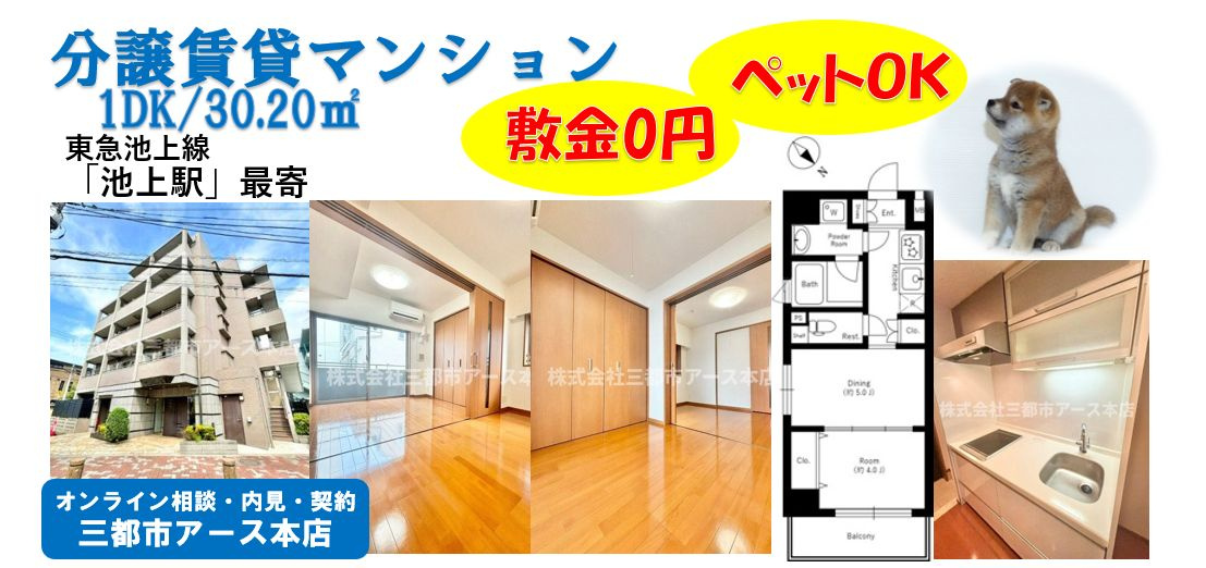 【日神デュオステージ池上】