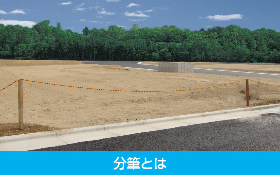 分筆とは