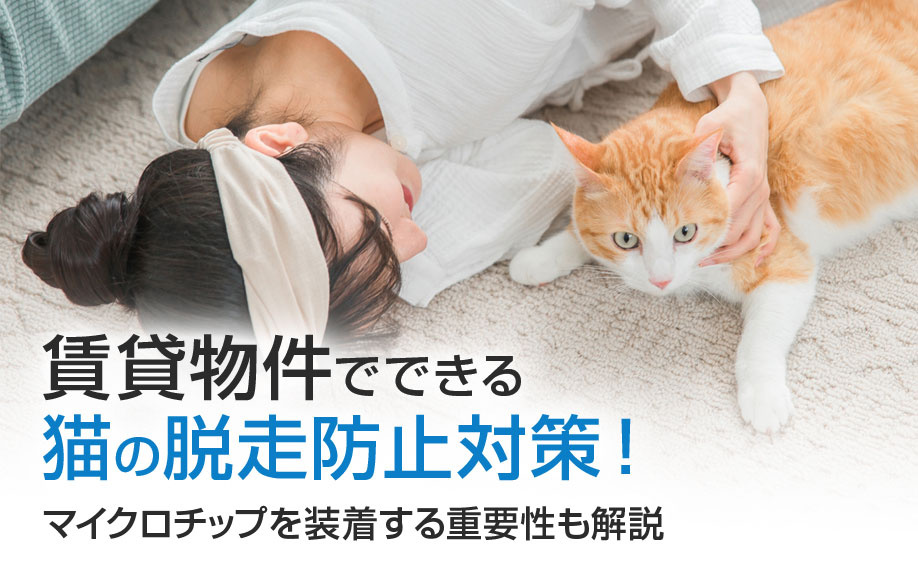 賃貸物件でできる猫の脱走防止対策！マイクロチップを装着する重要性も解説の画像