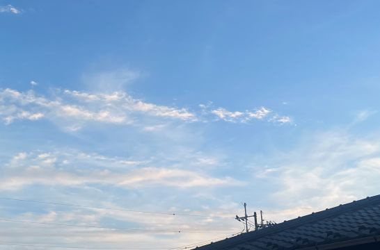 春の訪れ？の画像