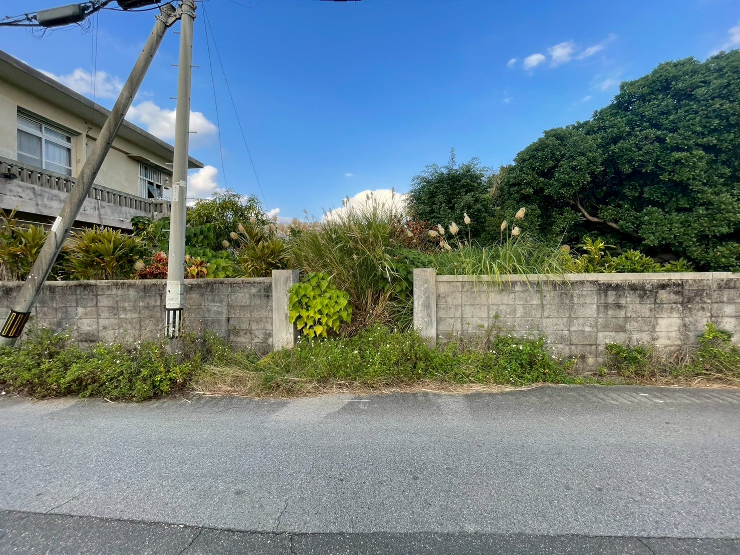 草木で見えなくなっていた空き家の管理事例/草刈り・清掃で改善の画像