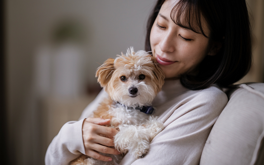 兵庫でペット可賃貸を探すならどこが良い？ペット共生型物件の選び方も解説の画像