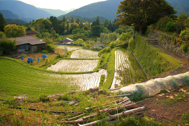 土地活用のメリットとデメリット