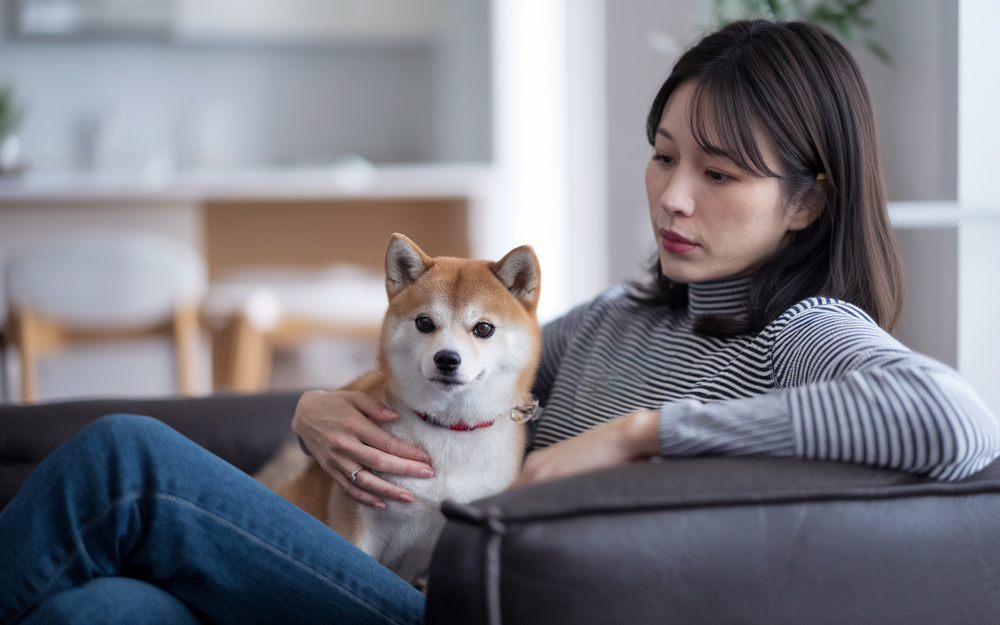 ペット可マンションを選ぶ購入ポイントは？快適な暮らしを実現する工夫も紹介の画像