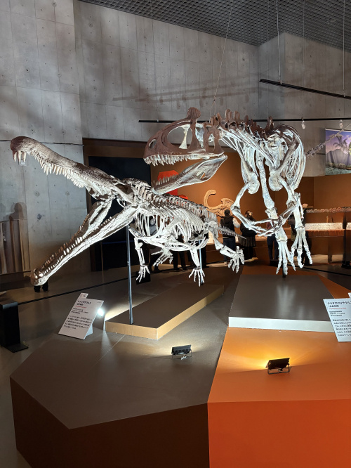 国立科学博物館「大絶滅展（ビッグファイブ）」を観てきましたの画像
