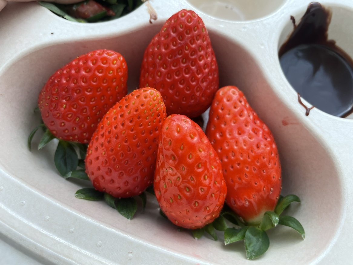 わんことお出かけpart1♪の画像