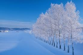 丹波市の雪景色と衆議院選挙の日|安全運転でご来店くださいの画像