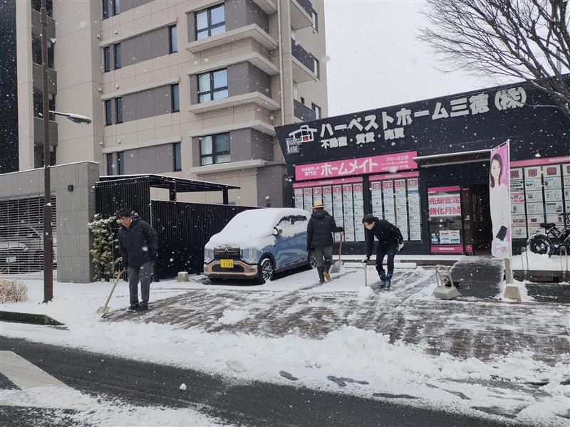 雪です！！！の画像
