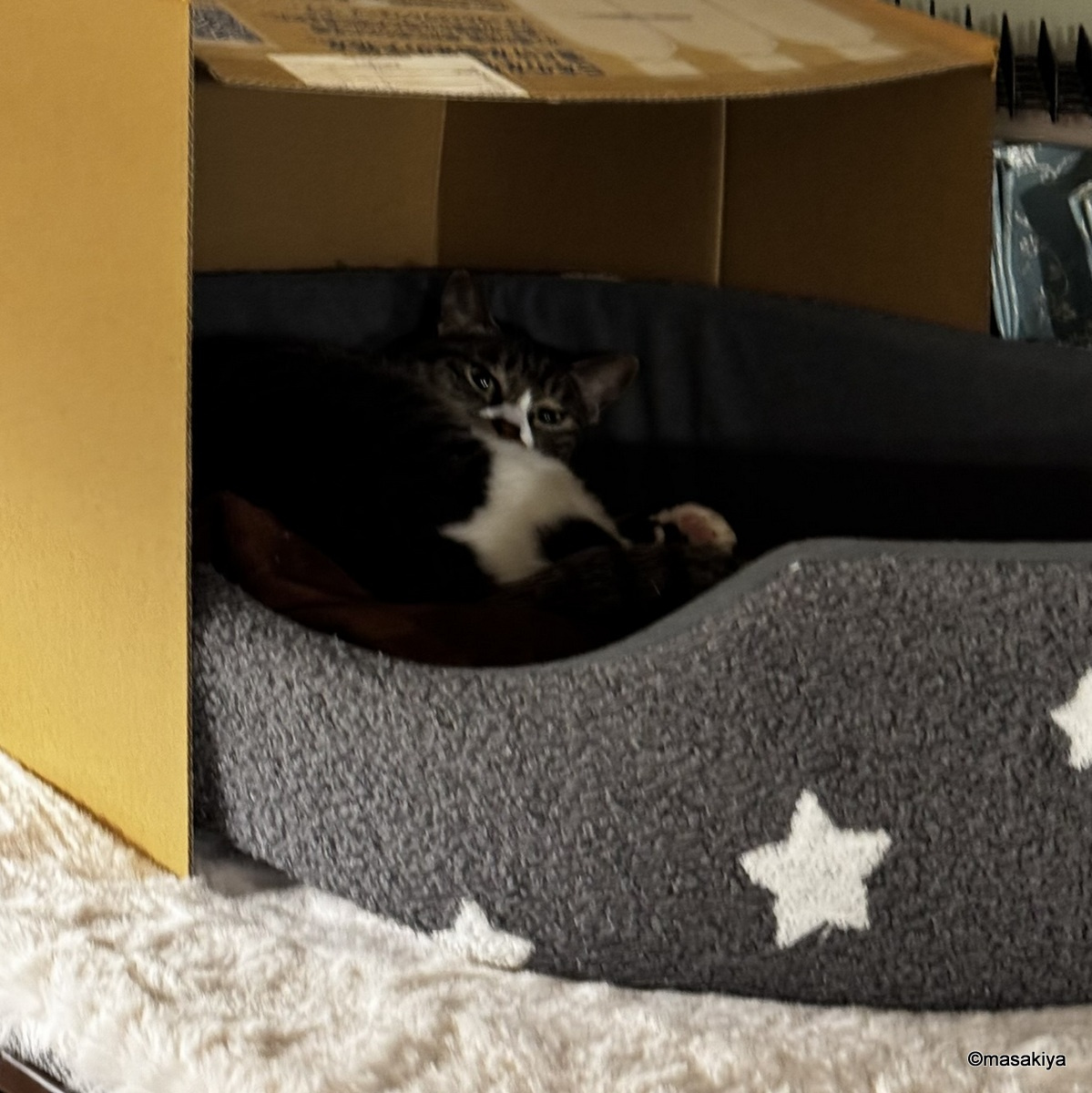 物件が減ってまいりましたの画像