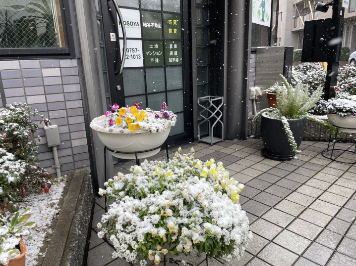 2026年2月8日　第51回衆議院議員総選挙の日は、雪の画像