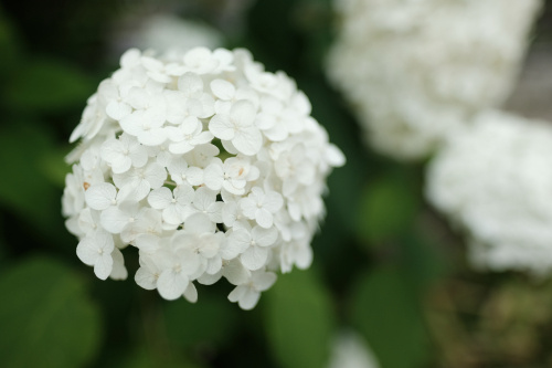 住宅価格と金利の上昇に勝つ。「稼ぐ家・助け合う家」で賢く建てる新時代の家づくりの画像