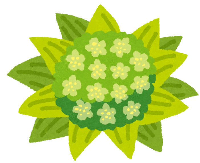 ふきのとうの日の画像