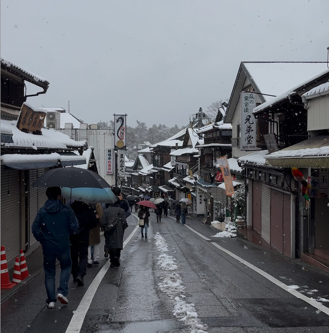 成田山新勝寺をぶらり散策の画像