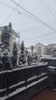 初雪っ！の画像