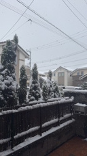 初雪っ！の画像