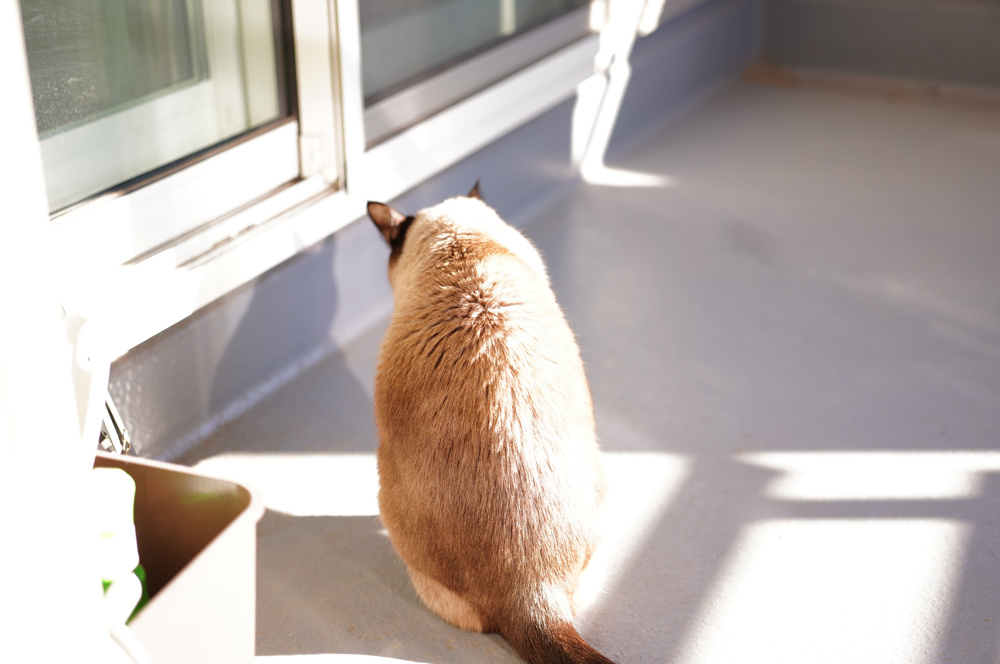 仕事の目的を考えるの画像