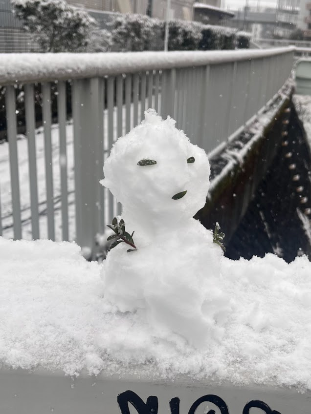 雪の画像