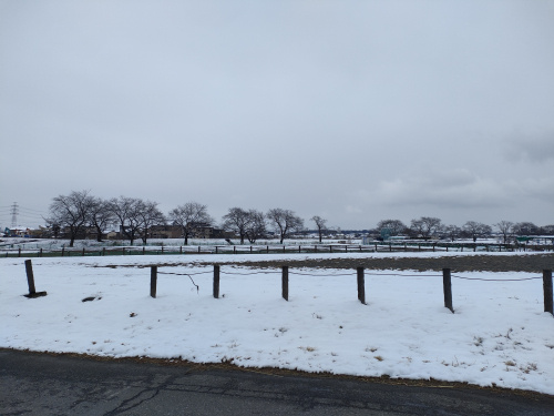 雪です！の画像