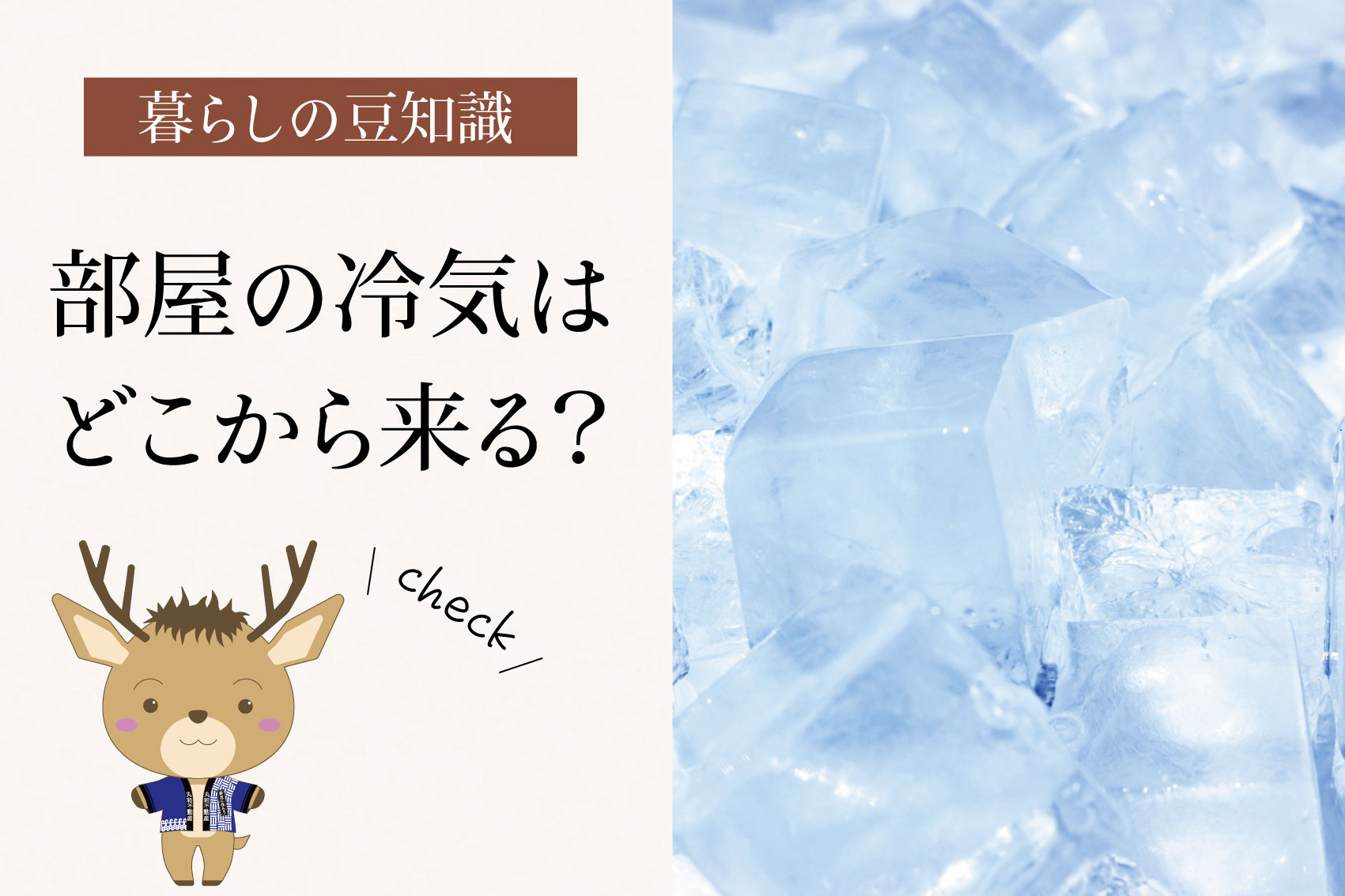 部屋の冷気はどこから来る？｜賃貸暮らしで感じる寒さの正体の画像