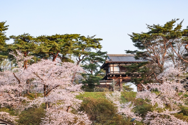 秋田市・千秋公園で四季を楽しもう！の画像