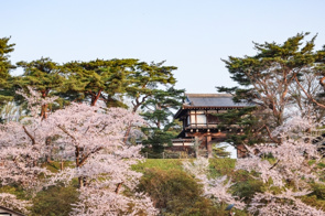 秋田市・千秋公園で四季を楽しもう！の画像