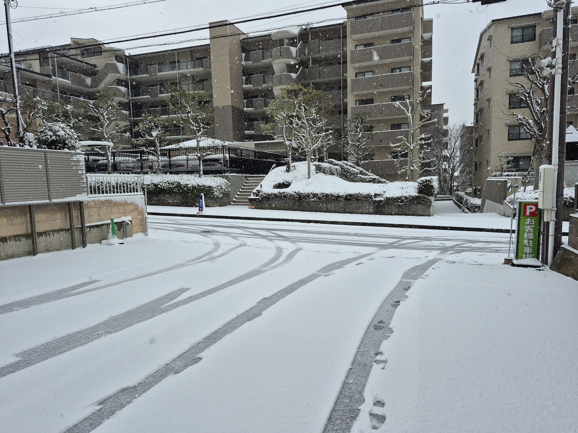 大寒波につきの画像