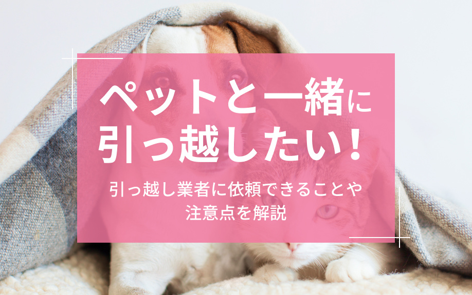 ペットと一緒に引っ越したい！引っ越し業者に依頼できることや注意点を解説の画像
