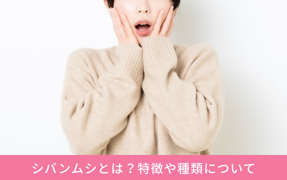 シバンムシとは？特徴や種類について