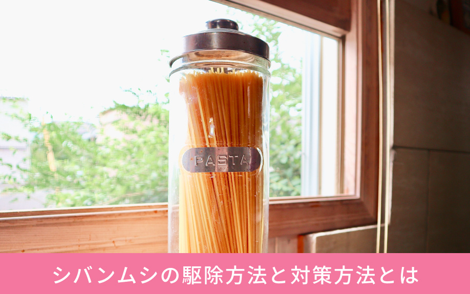 シバンムシの駆除方法と対策方法とは