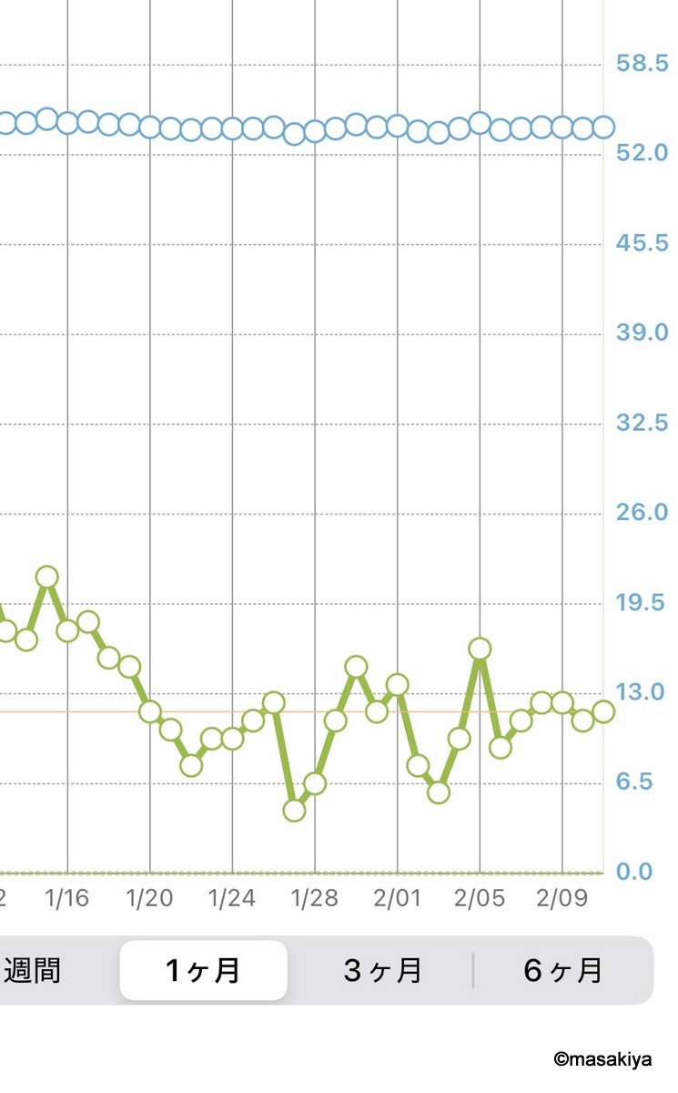 減量その後の画像