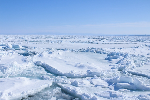 流氷がやってきました♪の画像