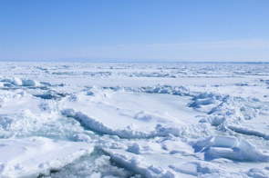 流氷がやってきました♪の画像