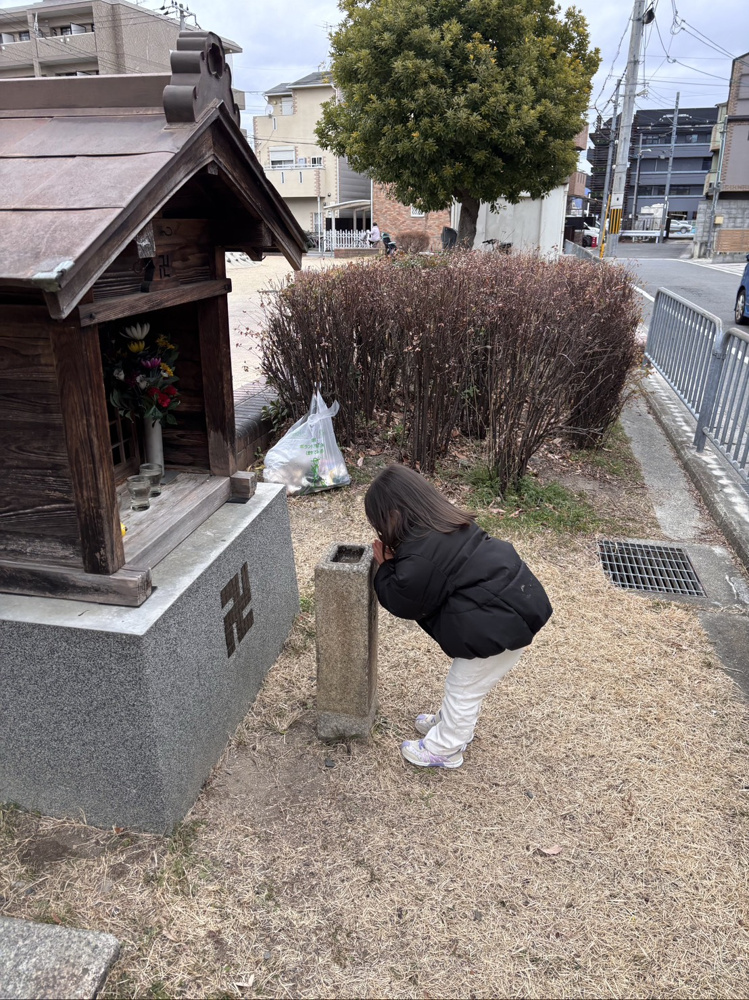 のんのんさんの画像