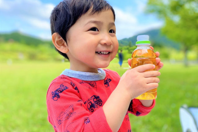 「お茶の文化創造博物館」の特徴