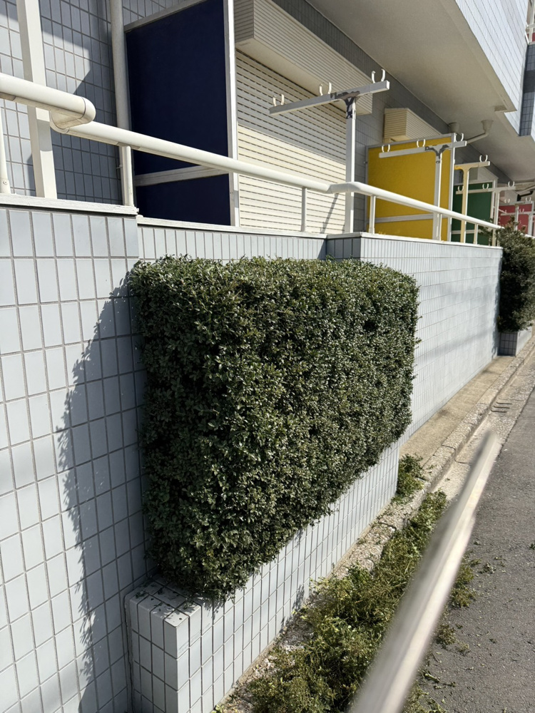 今日は植栽選定の画像