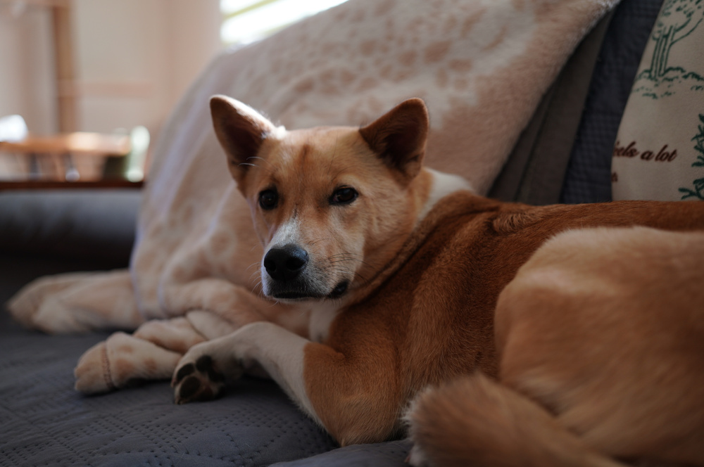 最近読んだ本の話の画像