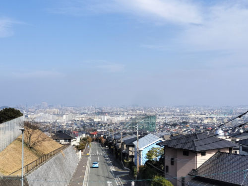 福岡市内を一望の画像