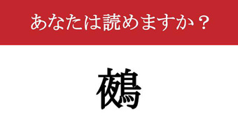 【難読漢字】「鵺」って読めますか?の画像