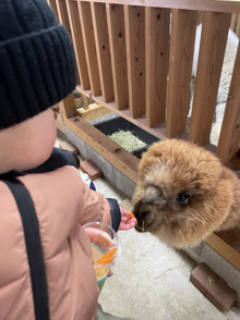 喋れるようになったよ。の画像