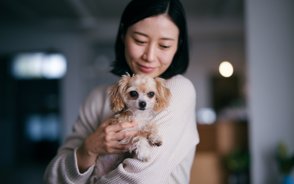 賃貸アパートでペット可の条件とは？契約前に必要な確認ポイントをご紹介の画像