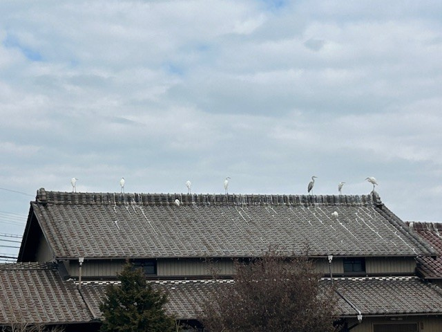 【弥富市不動産売却】溜まり場の画像