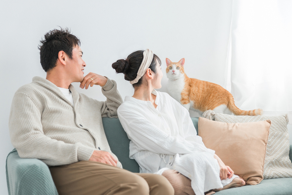 座間市の新築一戸建てで仲介手数料無料！最大150万円節約できる賢い購入術の画像