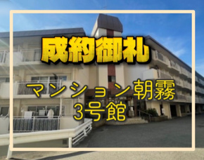 成約情報の画像