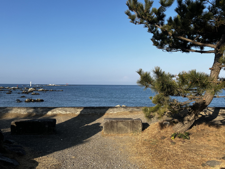 森戸の朝の画像