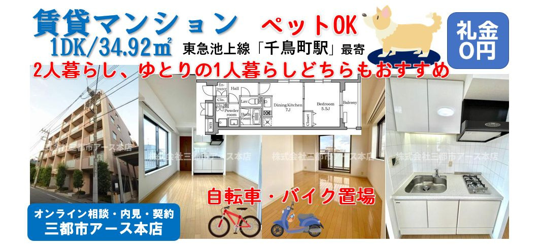 【レジディア千鳥町】