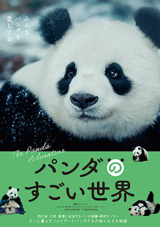 スムトコ不動産事務サポートOのブログ『映画㊱』の画像