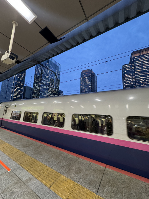 【新潟市不動産売却】若者の首都圏流出と、親世代の「ひとりで生きる力」の画像