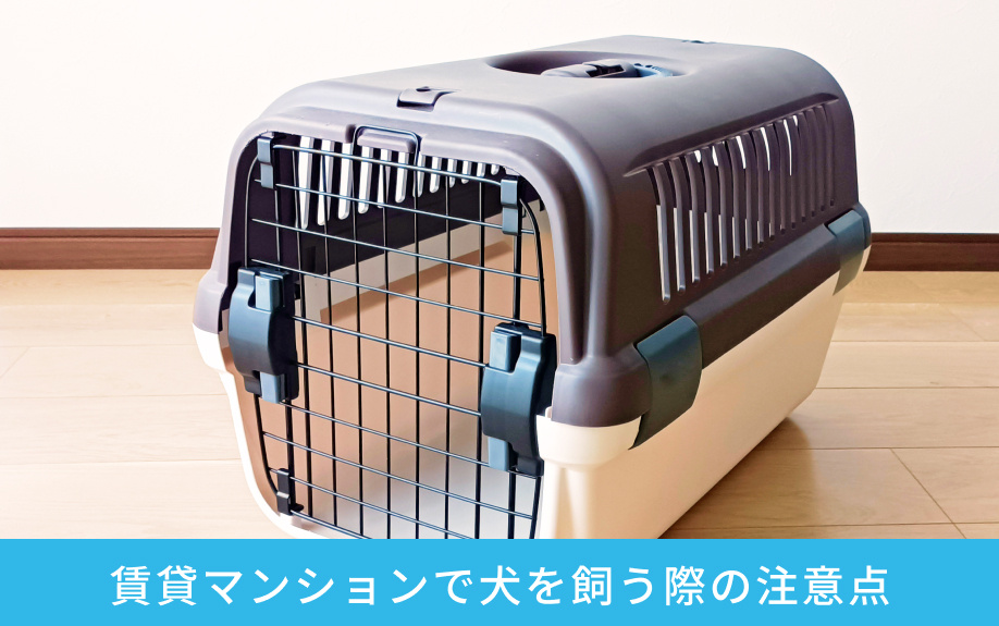 賃貸マンションで犬を飼う際の注意点