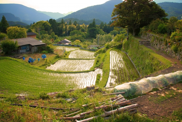 土地購入で田園住居地域を選ぶメリットは？農地転用の可否も解説の画像